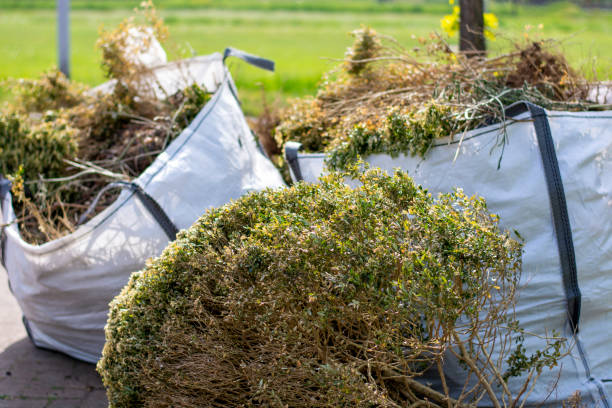 Best Commercial Junk Removal  in Seville, FL